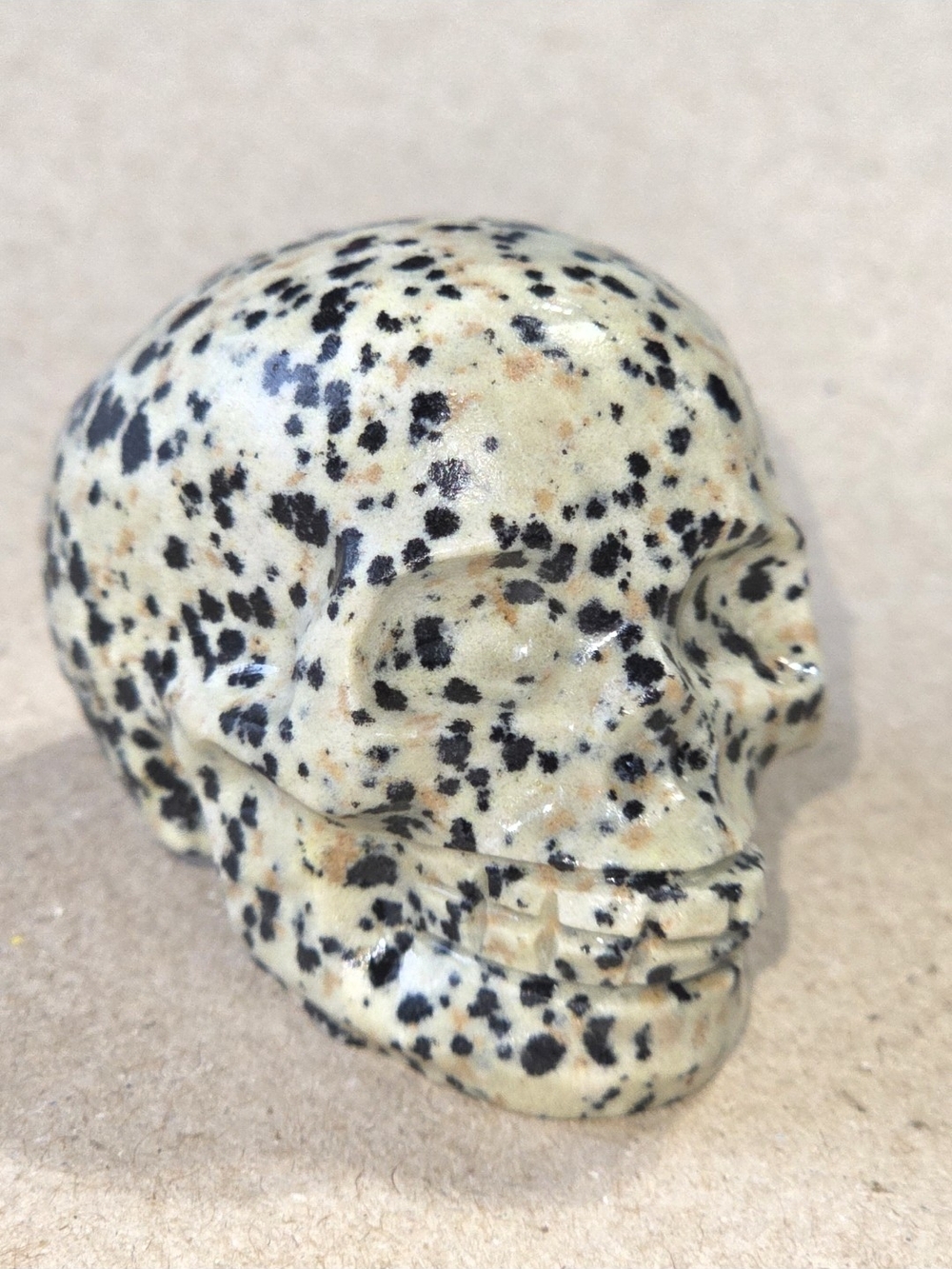 Detailed Dalmatian Jasper Crystal Carved Skull Stone Sculpture Decor